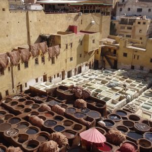 fes